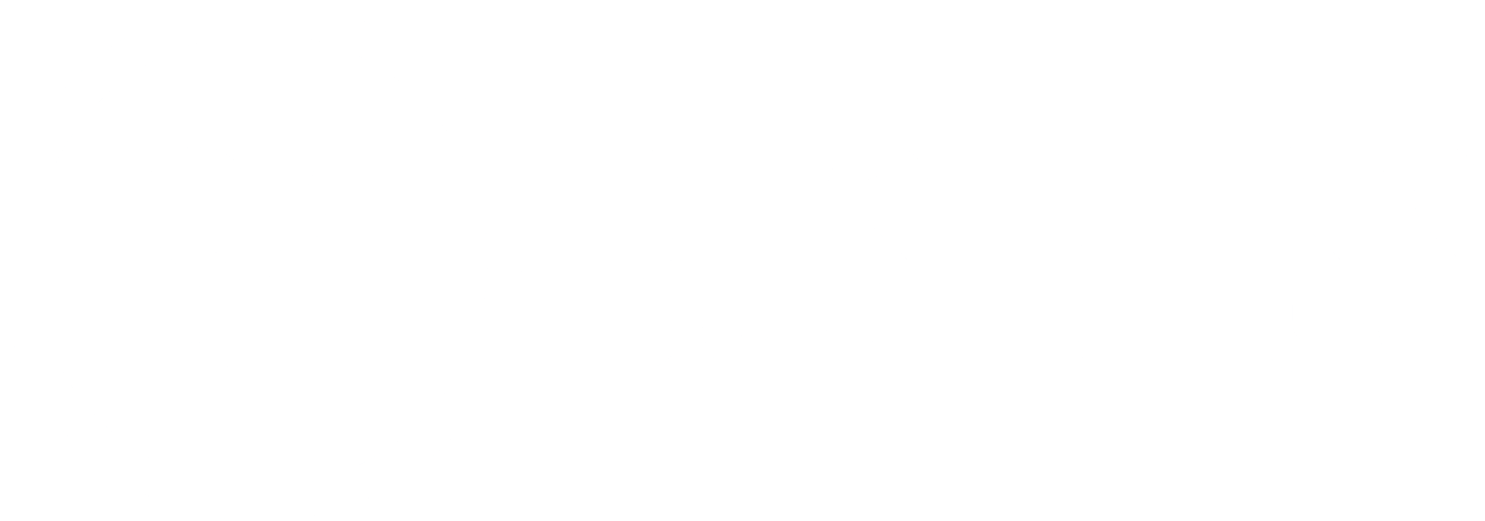S4Business